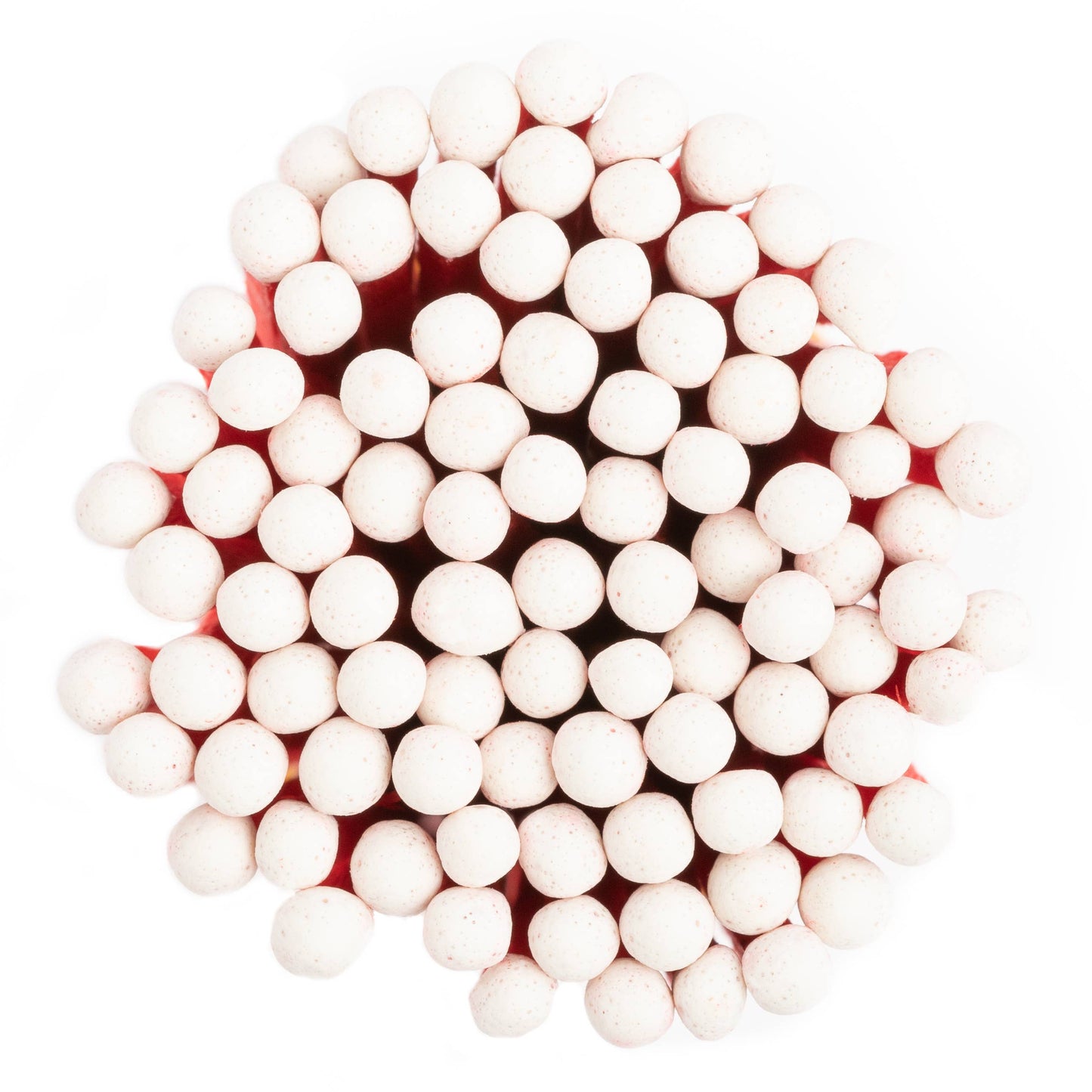Light the Scentiment | Cinnamon White Matches in Medium Glass Jar