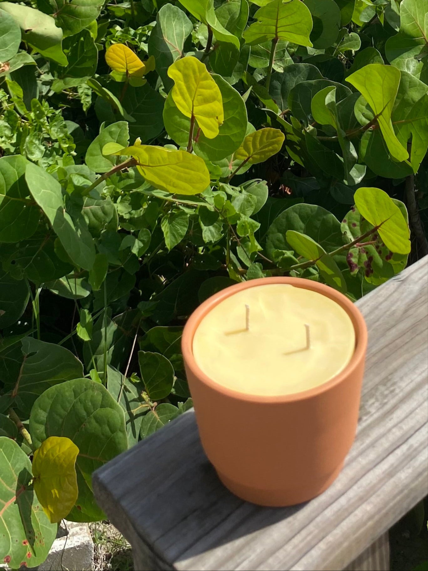 Firefly Flicker – Citronella Scented Terracotta Candle