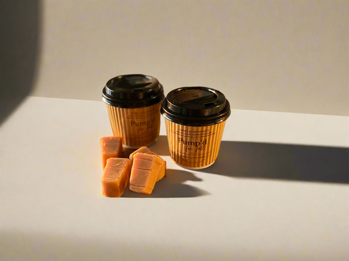MoodMelts™ Pump’d for Fall – Mini Pumpkin Latte Soy Wax Melts