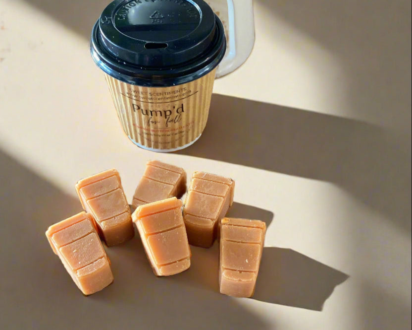 MoodMelts™ Pump’d for Fall – Mini Pumpkin Latte Soy Wax Melts