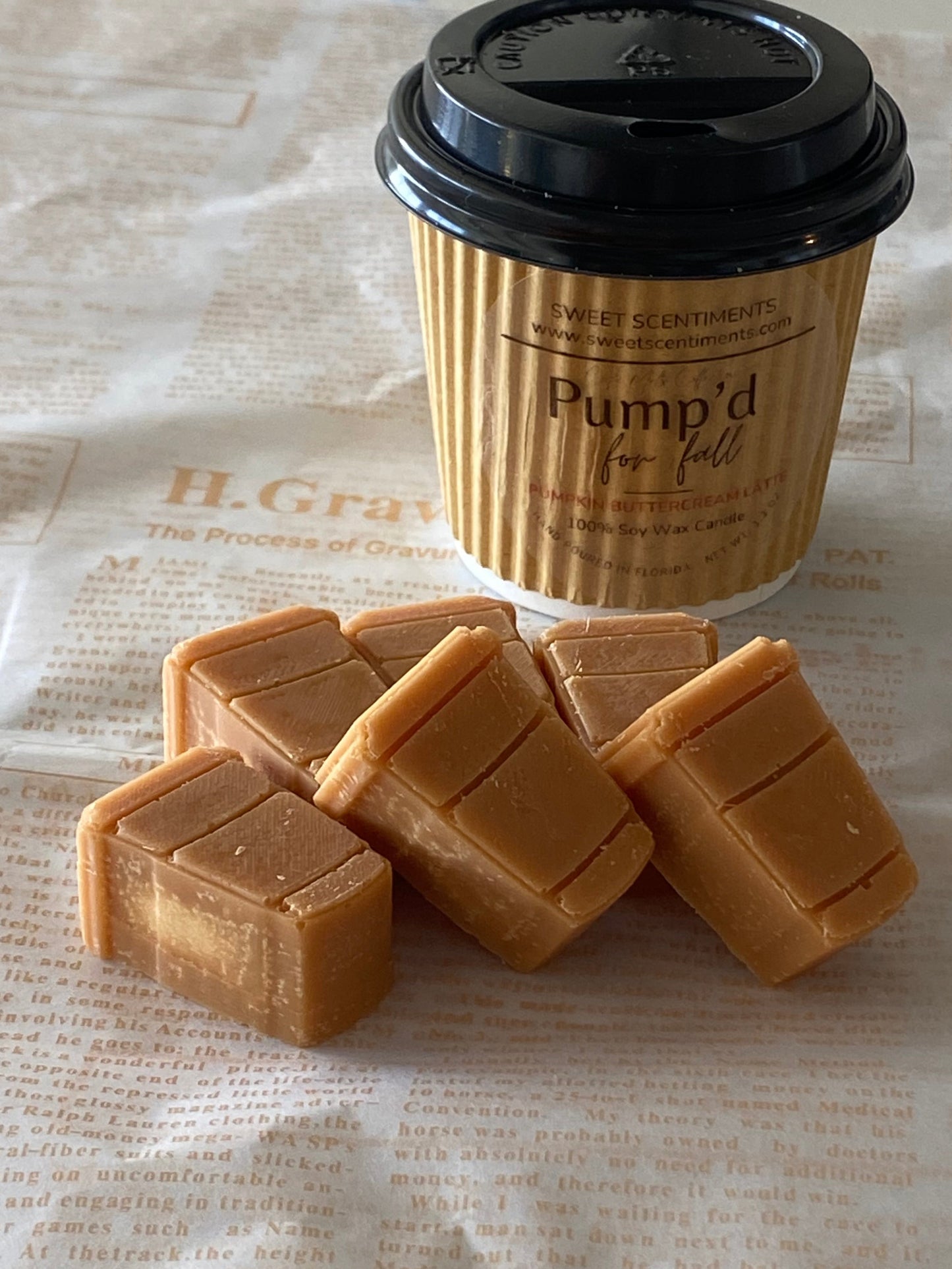 MoodMelts™ Pump’d for Fall – Mini Pumpkin Latte Soy Wax Melts