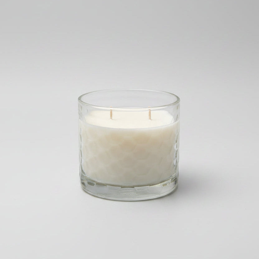 Agave Afterglow | Two-Wick Soy Wax Candle