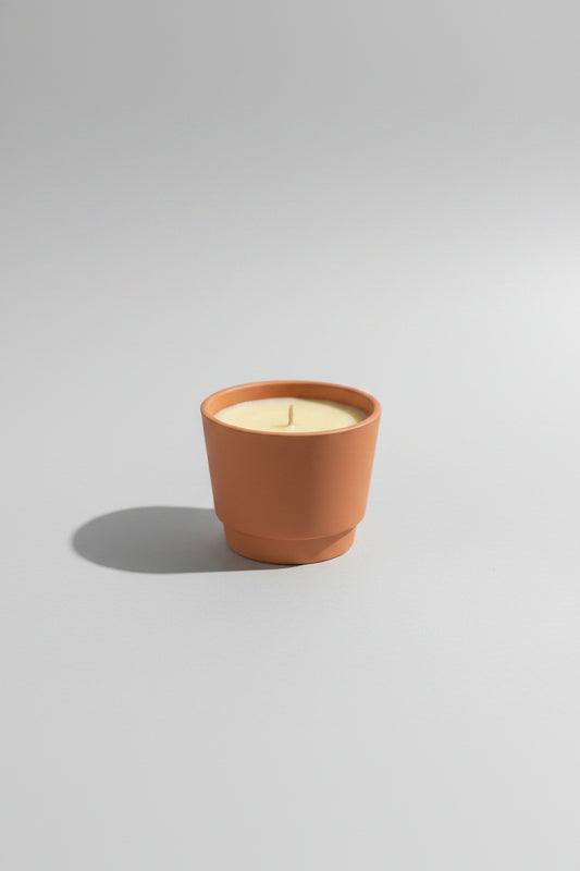 Firefly Flicker | 10 oz Citronella Outdoor Soy + Beeswax Candle