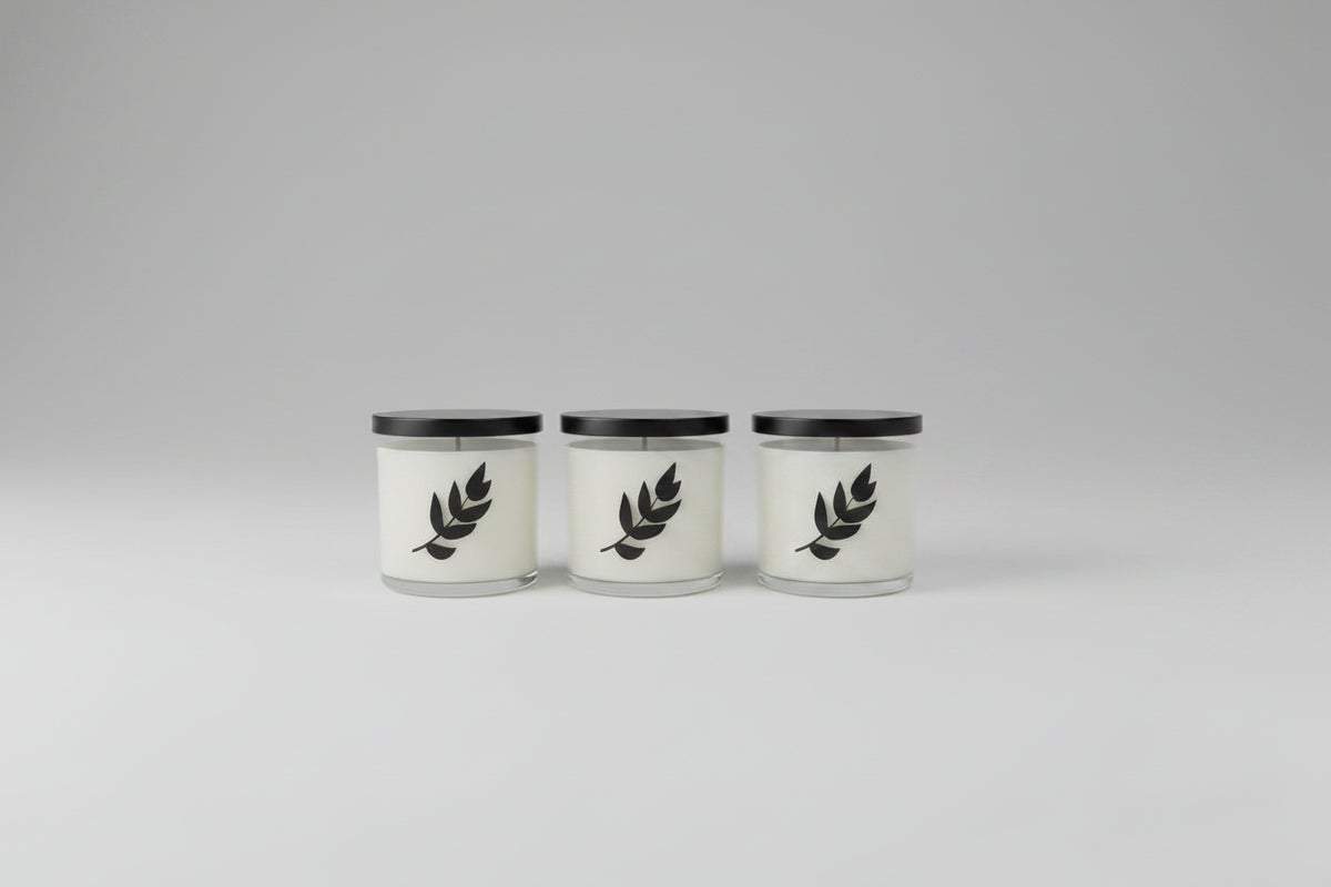 Scentimental Cashmere™ | Bergamot + Cashmere | Signature Soy Candle