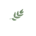 Sweet Scentiments leaf